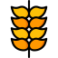 Wheat icon 64x64