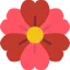 Flower icon 64x64