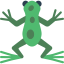 Frog icon 64x64