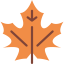 Leaf icon 64x64