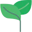 Leaves icon 64x64