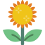 Sunflower icon 64x64