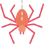 Spider icon 64x64