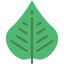 Leaf icon 64x64