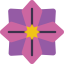 Flower icon 64x64