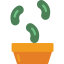 Bean icon 64x64