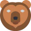 Bear icon 64x64
