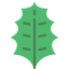 Leaf icon 64x64