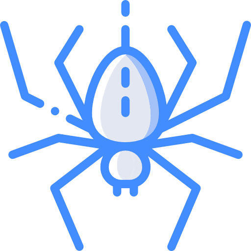 Spider icon