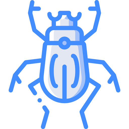 Beetle icon
