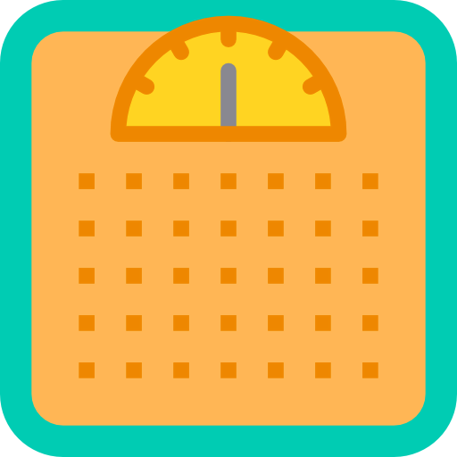 Scale icon