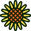 Sunflower icon 64x64