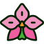 Flower icon 64x64