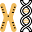 Chromosome icon 64x64