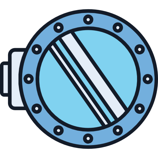 Window icon