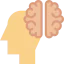 Body organ icon 64x64