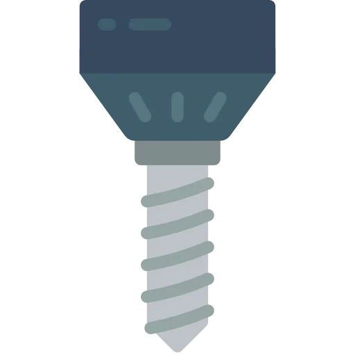 Bolt icon