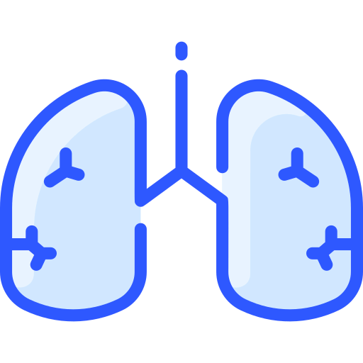 Lungs icon