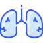 Lungs icon 64x64