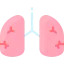 Lungs icon 64x64