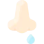 Nose icon 64x64