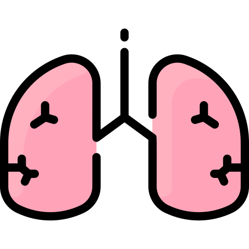 Lungs icon