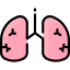 Lungs icon 64x64