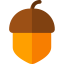 Nut icon 64x64