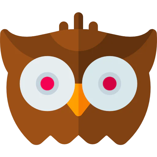Owl icon