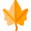 Maple leaf icon 64x64