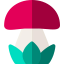 Mushroom icon 64x64