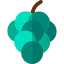 Grapes icon 64x64