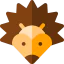 Hedgehog icon 64x64
