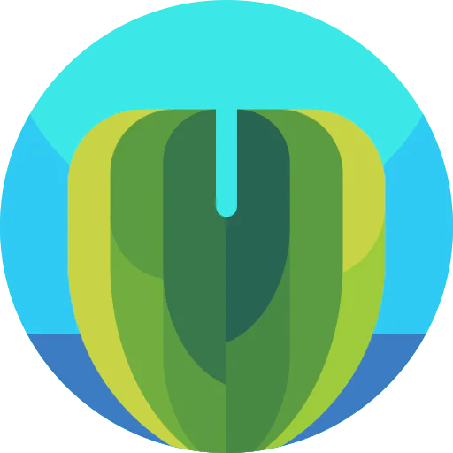 Leaf icon