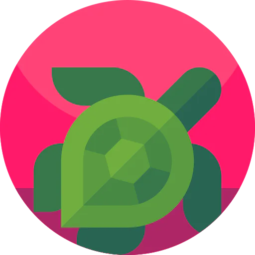 Turtle icon