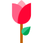 Rose icon 64x64