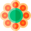 Rangoli icon 64x64
