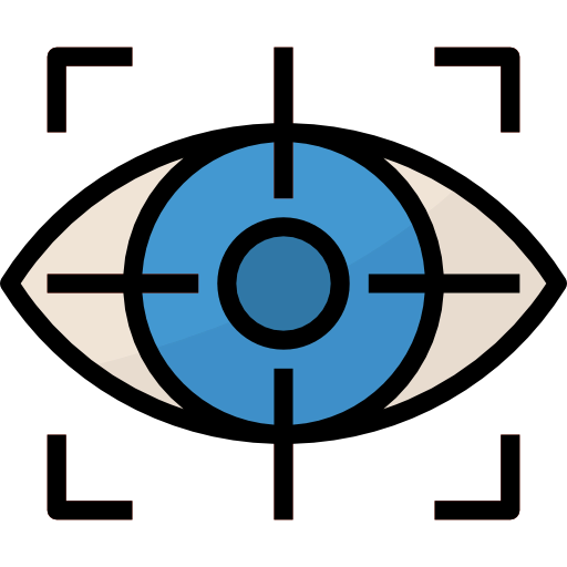 Vision icon