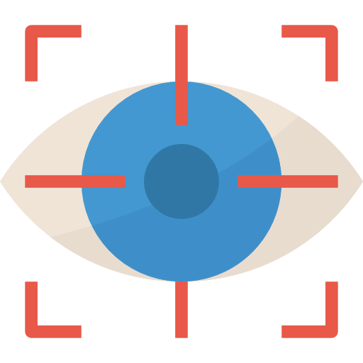 Vision icon