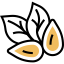 Almond icon 64x64