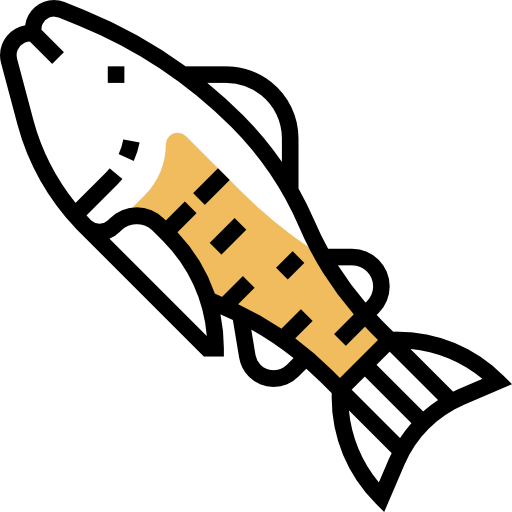 Salmon icon