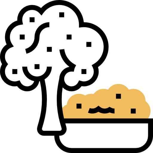 Broccoli icon