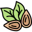 Almond icon 64x64
