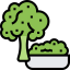Broccoli icon 64x64