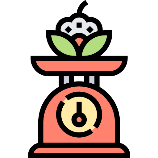 Kitchen scale icon