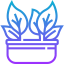 Kale icon 64x64