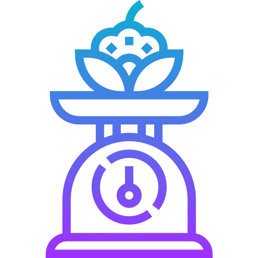 Kitchen scale icon