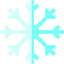 Snowflake biểu tượng 64x64