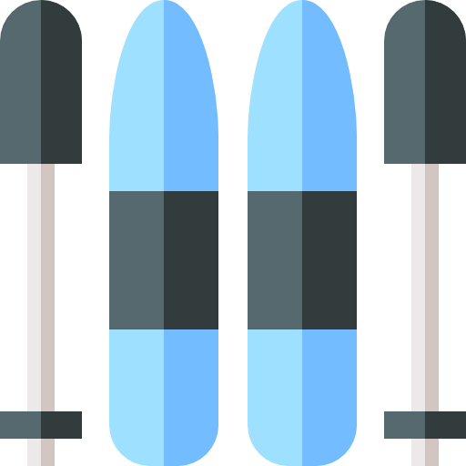 Ski icon