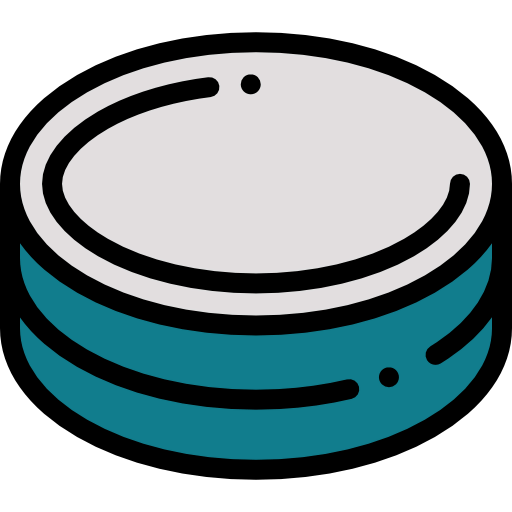 Puck icon